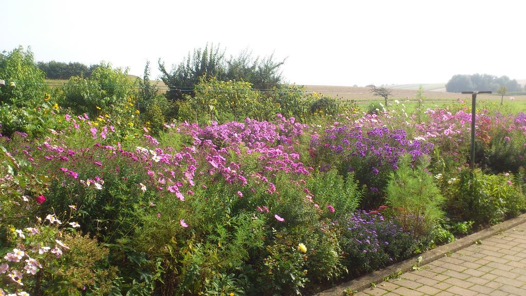 Ferienwohnungen Eichenhof Kapellen-Drusweiler Exterior foto